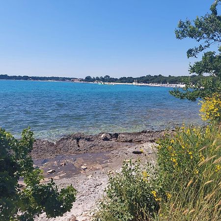 Neu Renovierte Ferienwohnung Mit Klima, Wlan, Terrasse Und Grill Πούλα Εξωτερικό φωτογραφία